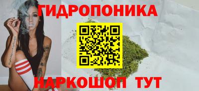 дживик Тара