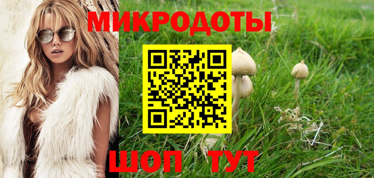 Псилоцибиновые грибы MAGIC MUSHROOMS Белово