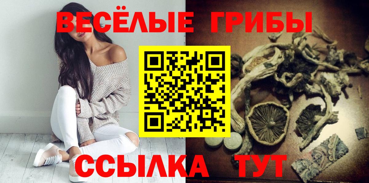 Белово  Псилоцибиновые грибы мухоморы  Вход с VPN 